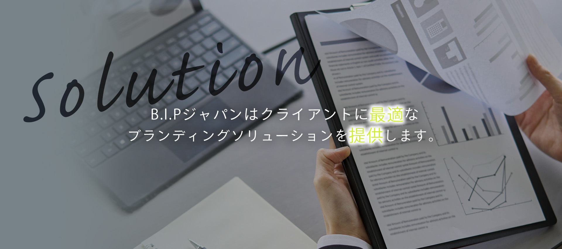 株式会社ビー・アイ・ピー・ジャパン